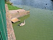 Thumbnail of IMG_2140.jpg